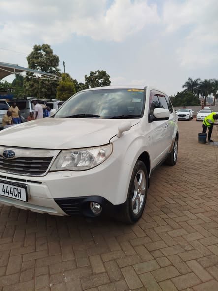A picture of Subaru Forester