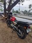 A picture of Boxer BM 125