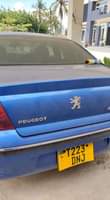 A picture of PEUGEOT 407 MASHINE