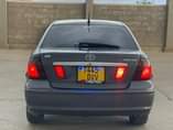A picture of Premio X 13 9mil 0655123103