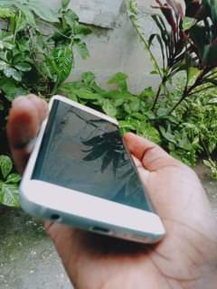 samsung galaxy s6
