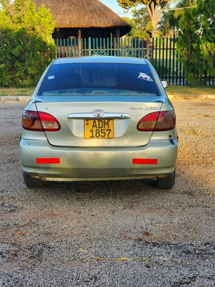 used toyota corolla