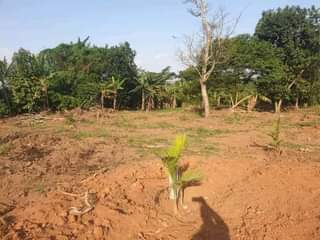 A picture of Land
