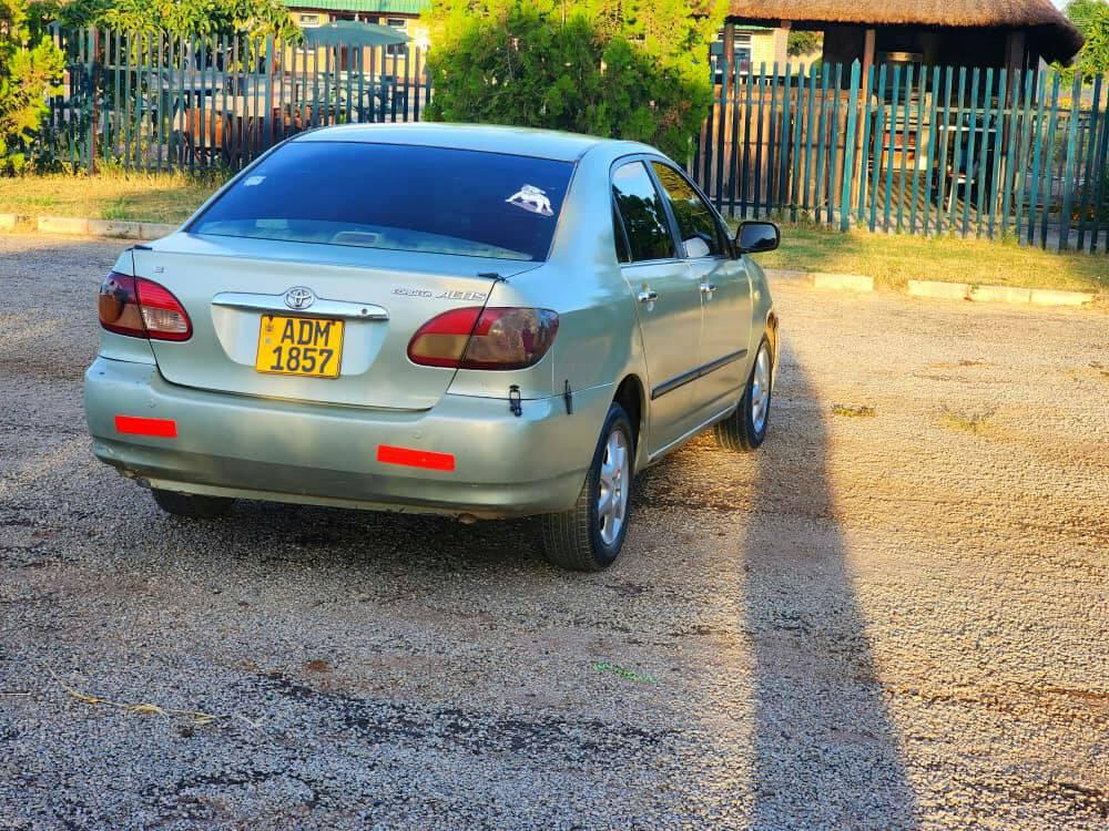 used toyota corolla