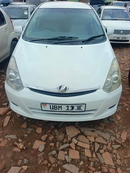 A picture of Wish 2006 17 7m