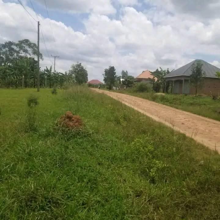 A picture of 50ft by 50ft plot on sell in matugga buwambo good
