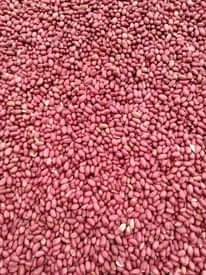 A picture of Piga 0769217810 Whatsapp 0677988499