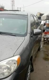 A picture of PAINTED MATRIX 2007
