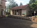 A picture of MANSION DREAM HOME