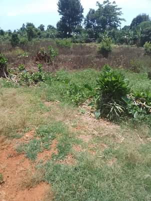 A picture of 100 by 180 for sale in Kiganda Kisoga along mukono