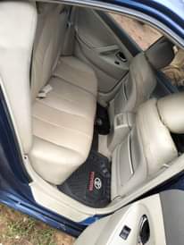 A picture of Camry spider