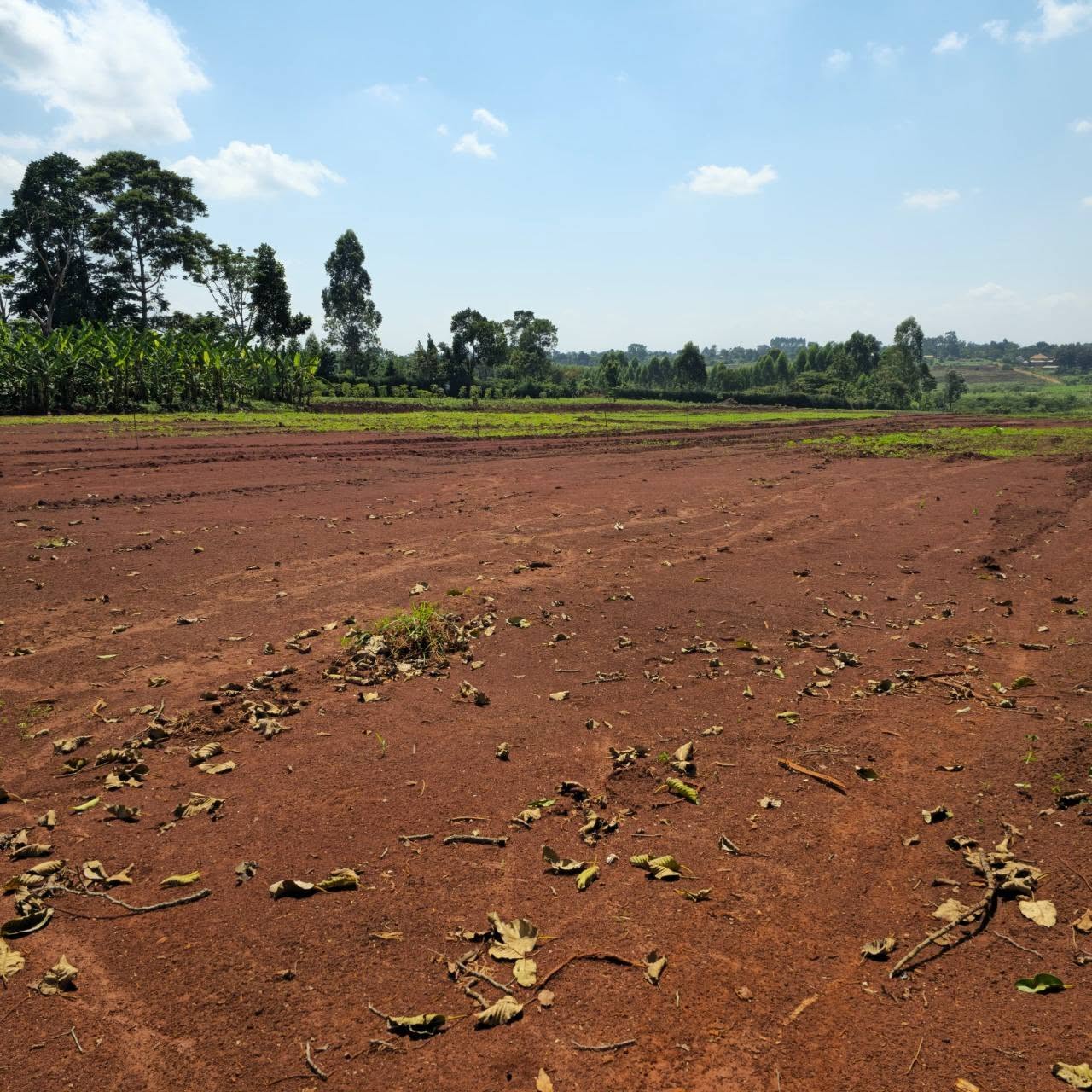 plots gayaza