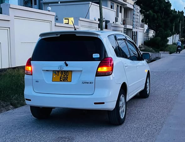 A picture of Toyota Spacio