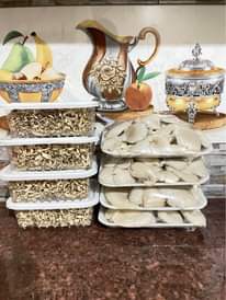 A picture of Fresh and dried mushrooms