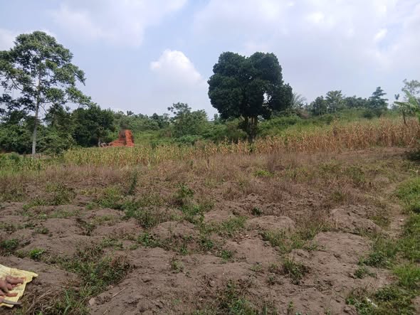 A picture of Plots at buwambo 0759810352