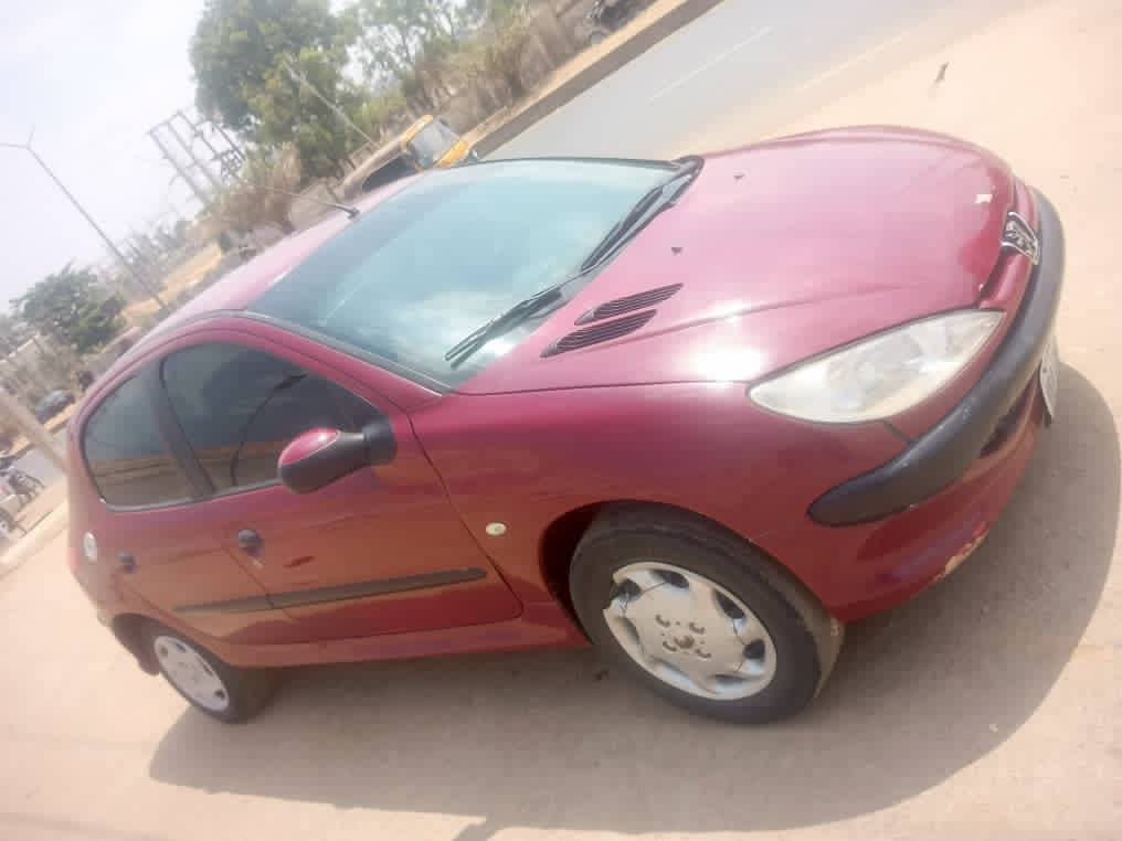 A picture of Peugeot 206 model