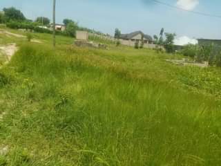 A picture of Viwanja