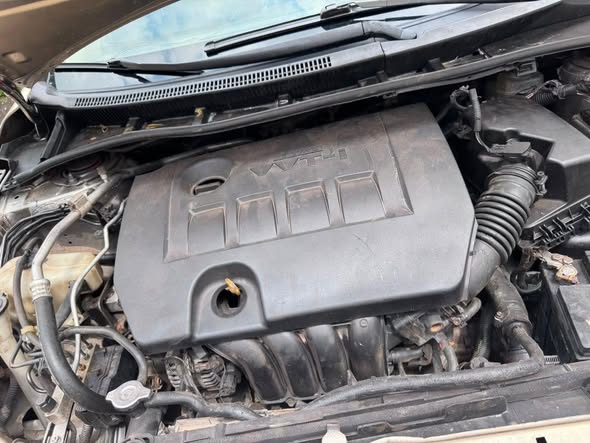 A picture of 2009 Toyota Corolla 2009