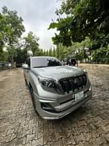 A picture of Prado 2014