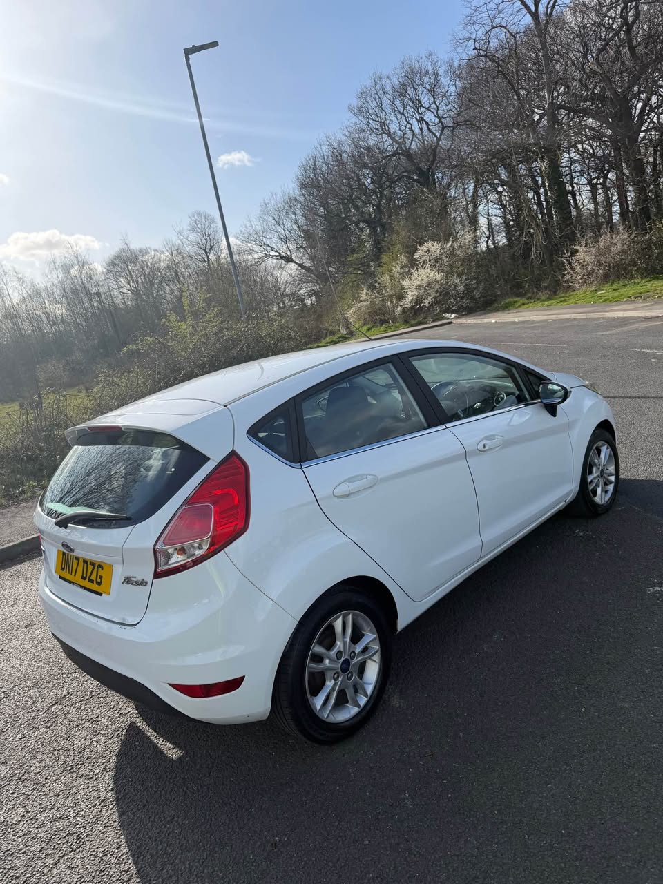 ford zetec