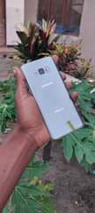 A picture of Samsung S8