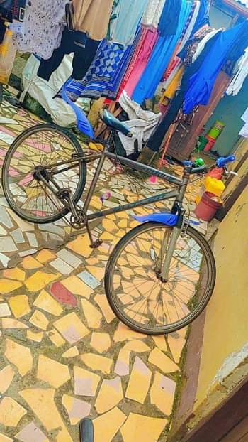 A picture of Mountain bike