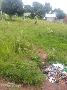 A picture of Plot ft 30 50 4m nago loc bujuuko mityana road