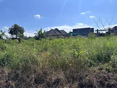 A picture of 2 plots available at wakiso town