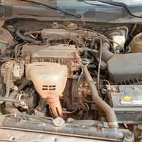 A picture of 2002 Camry fish light