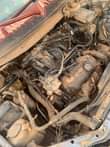 A picture of Nissan quest