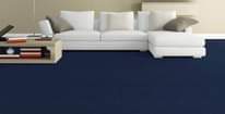 A picture of 256705881025 Woolen carpets wall to wall