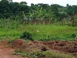A picture of Plot on quick sale 13m with title Located at matugga