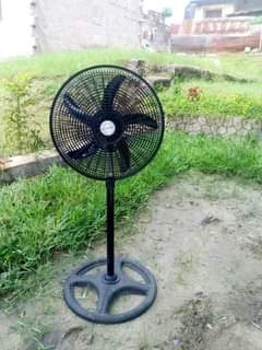 fans