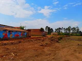 Kinaalwa A.