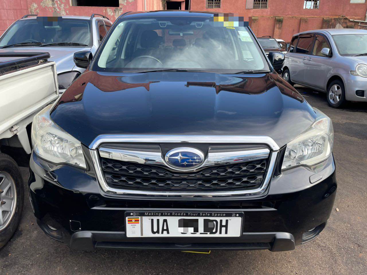 A picture of Forester 2015 At 50m