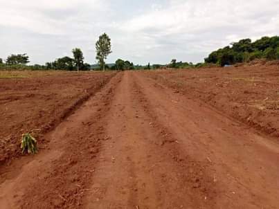 A picture of Commercial and Residential plots for sale located in Wakiso Gobero