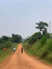 A picture of KIBANJA FOR SALE 80 ft by 300 ft for sale