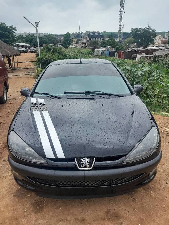 A picture of Peugeot 206