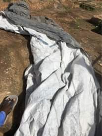A picture of Car cover for harrier and Subaru