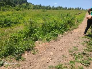 A picture of PLOTS AT AFFORDABLE PRICES