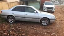 A picture of Carina on sale 7 2m 0705685826