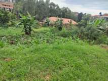 A picture of Plots on sale located at matugga gombe along matugga semuto