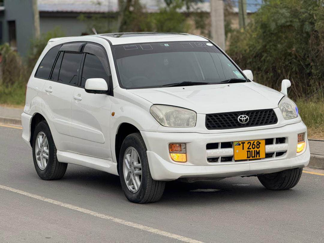 A picture of RAV 4 KILLTIME