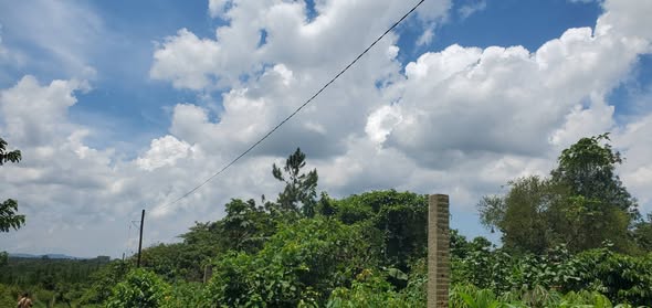 A picture of Land for Sale 34 decimals with ready land title in