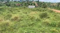 A picture of 2 plots 50 100 on sale