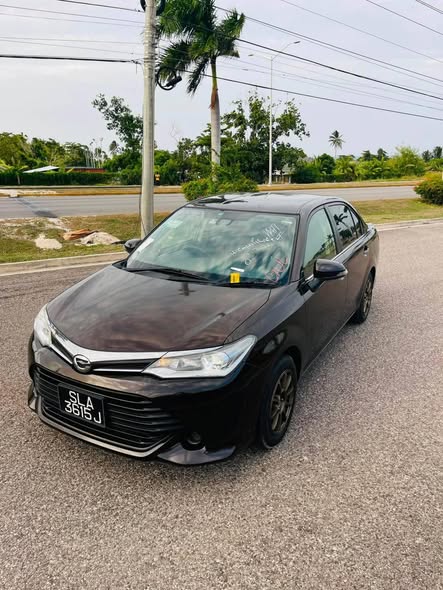 newly imported