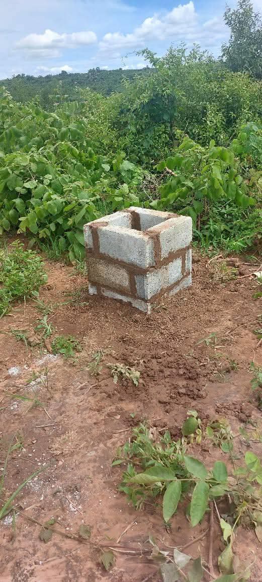 zambia plots