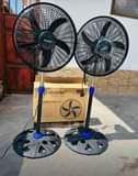 A picture of FENI 0627400299