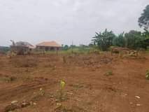 A picture of 3 Genuine Agreement Plots of Land on sell in Matugga