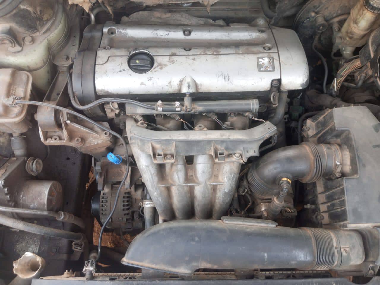 A picture of Nigerian used